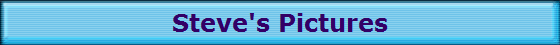 Steve's Pictures