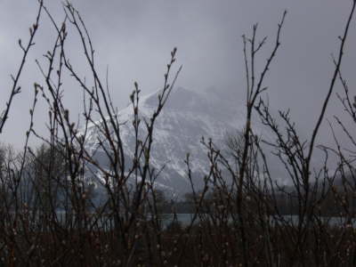 Glacier Mountain - 4