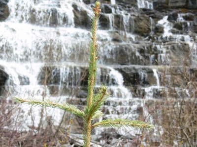 Glacier Waterfall - 4