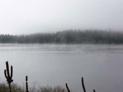 Loon Lake 1