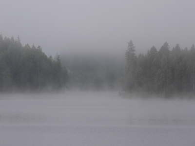 Loon Lake 3