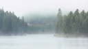 Loon Lake