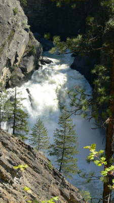 Moyie River Falls 1