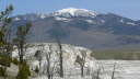 Mammoth Hot Springs 2
