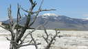 Mammoth Hot Springs 3