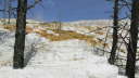 Mammoth Hot Springs 5