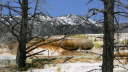 Mammoth Hot Springs 10