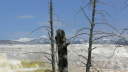 Mammoth Hot Springs 11