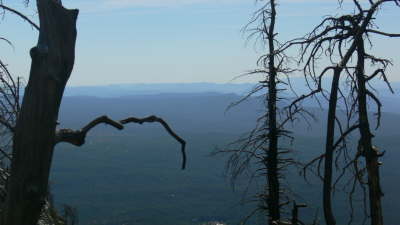 Mogollon Silhouette 2