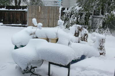 Snow - Backyard Stuff