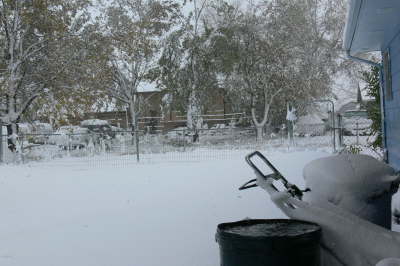 Snow - Backyard