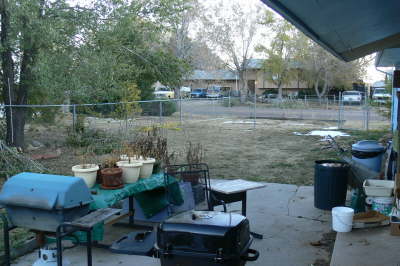 No Snow - Backyard 1