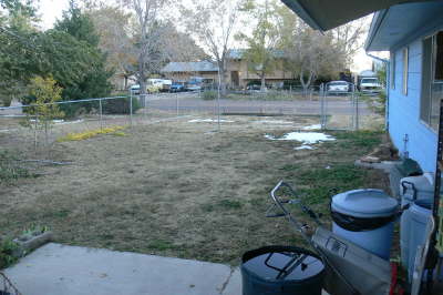 No Snow - Backyard 2