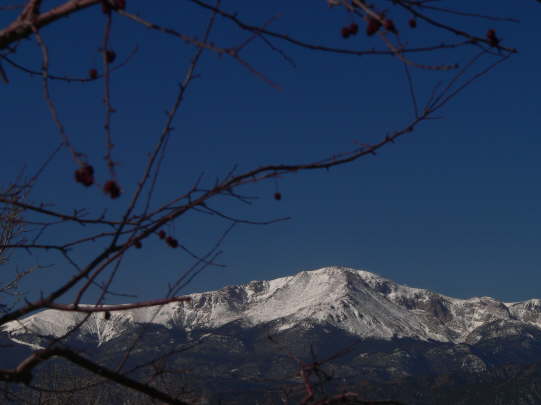 Trees in front of Peak #3