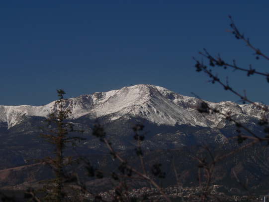 Trees in front of Peak #5