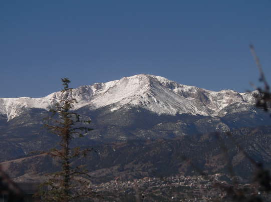 Trees in front of Peak #6