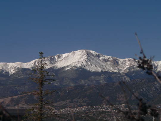 Trees in front of Peak #7