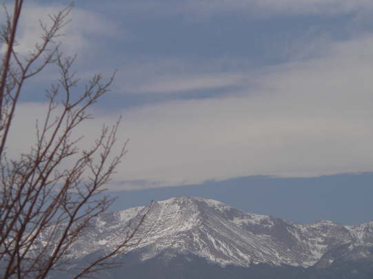 Trees in front of Peak #8